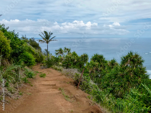 panoramic view of Pololu Valley on Big Island  Hawaii