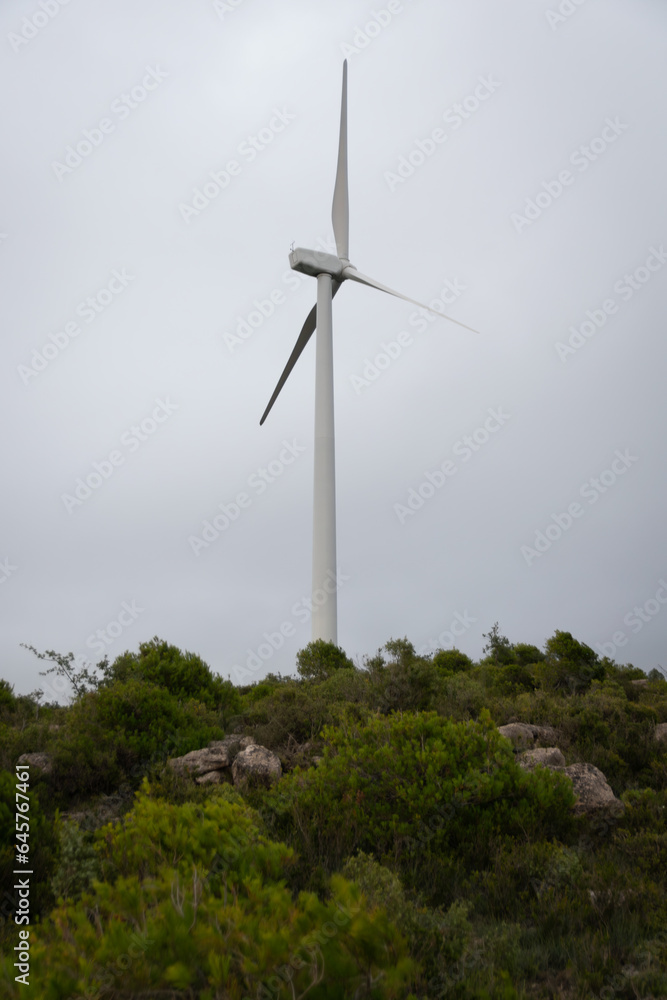 Wind turbine in the forest.