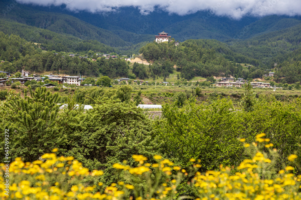 Scenic panoramic view of green fields and yellow flowers, beautiful countryside landscape in Bhutan.
