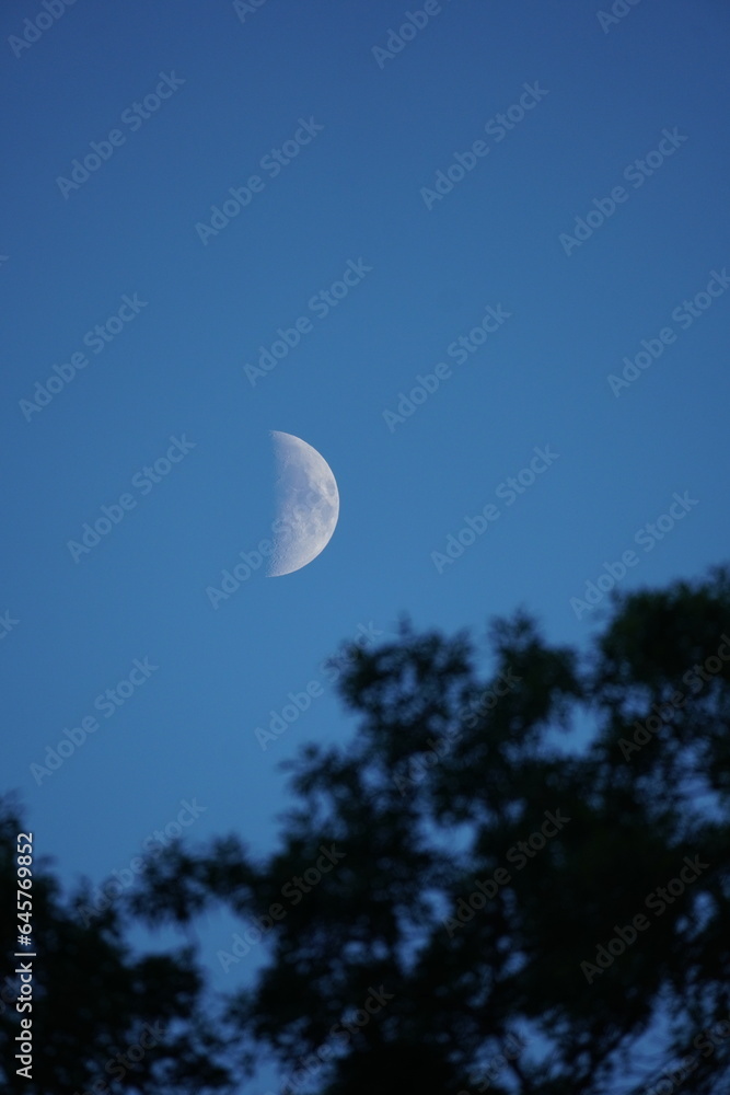 first quarter moon on the sky