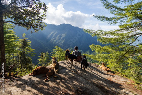 Man sitting on top of a hill with his dogs around him looking at mountains ahead of them and admiring nature