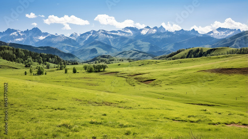 Mountain Range with Grassy Field in Foreground © Lucia