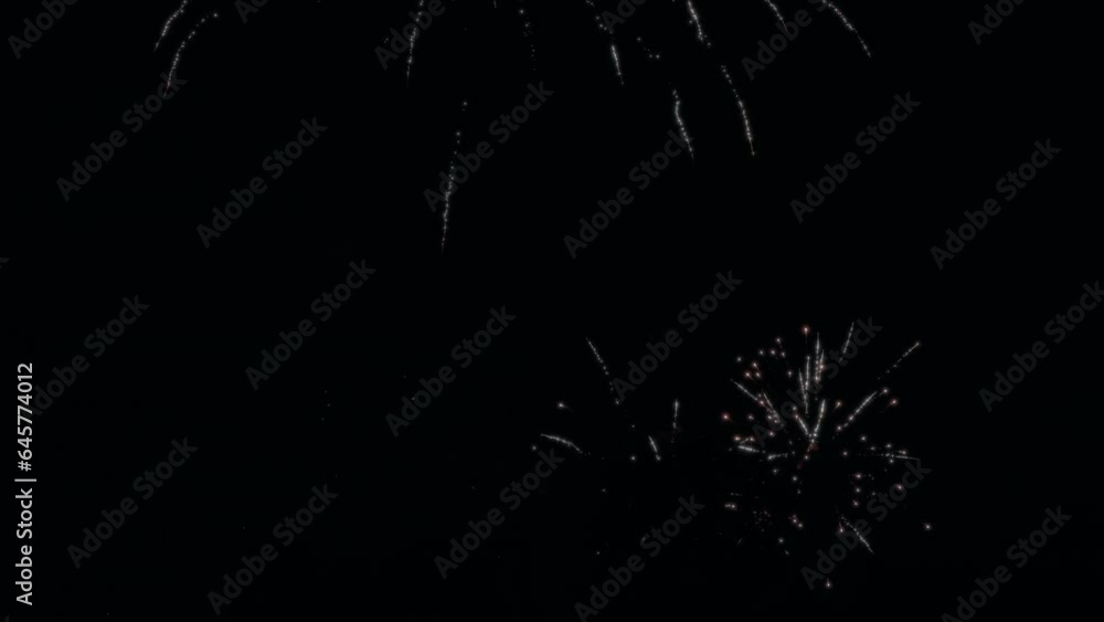 Fireworks show display on the night sky. Fireworks show display on the night sky.