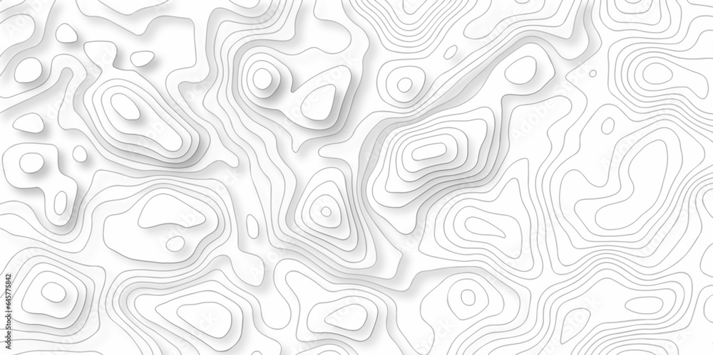 Topographic map. Geographic mountain relief. Abstract lines background. Contour maps. Vector illustration, Topo contour map on white background, Topographic contour lines.
