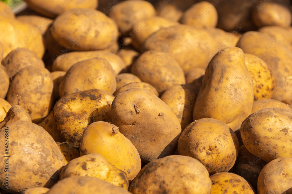 Healthy food. New potatoes in a pile for sale. Healthy food. New potatoes in a pile for sale.