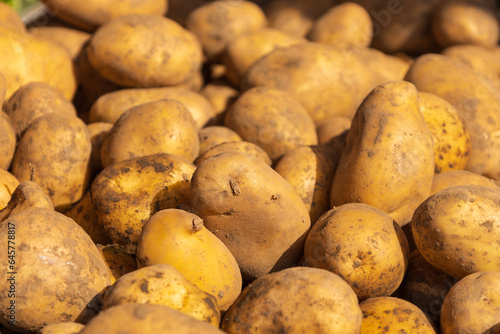 Healthy food. New potatoes in a pile for sale.