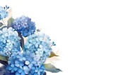 Watercolor Blue Hydrangeas on white background, wedding invitation
