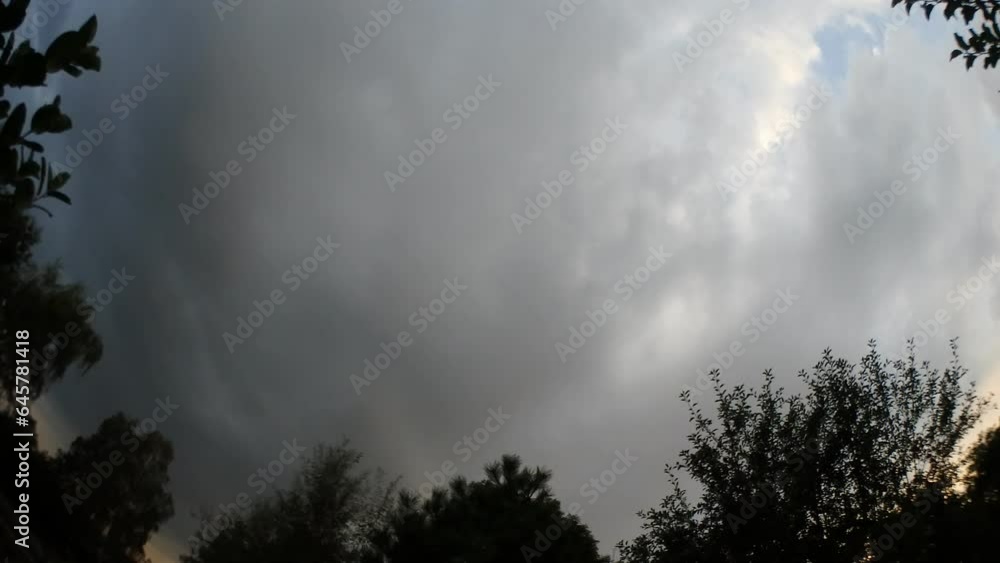 Evening sky with moving grey rainy clouds, orange and pink colors during sunset and dark branches of trees - timelapse, panorama 160. Topics: weather, meteorology, climate, nature Evening sky with moving grey rainy clouds, orange and pink colors during sunset and dark branches of trees - timelapse, panorama 160. Topics: weather, meteorology, climate, nature