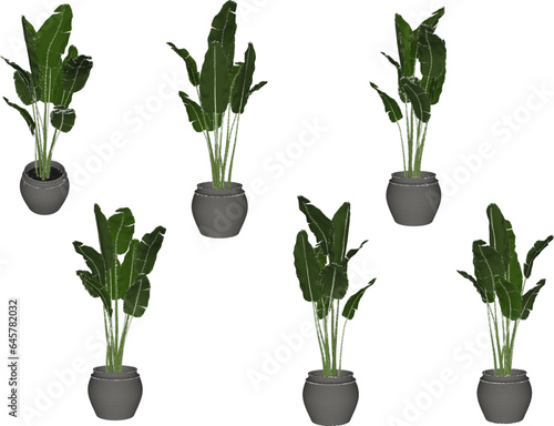Vector sketch illustration design of ornamental plants in pots for home interior decoration copy