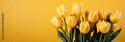 tulips on yellow background, copy space 