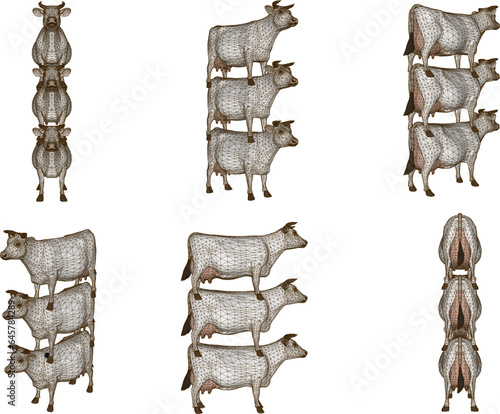 Vector sketch illustration of a unique cow animal design rising on terraces
