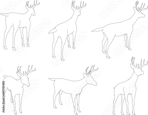 Vector sketch illustration of antelope animal with long horns 
