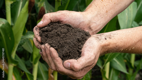 Handful of healthy soil from regenerative agriculture field