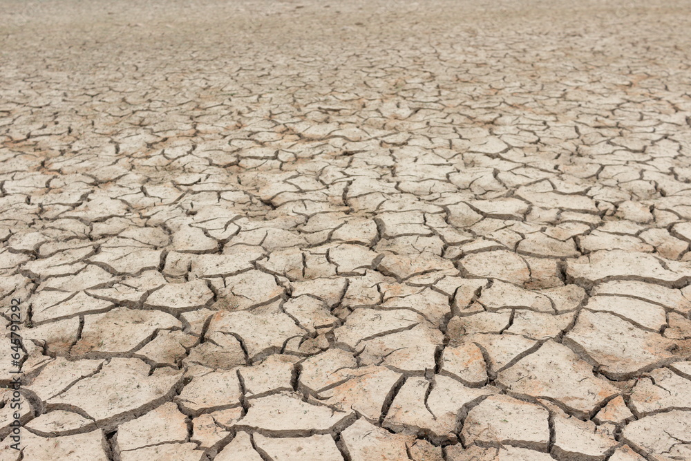 Drought cracked land