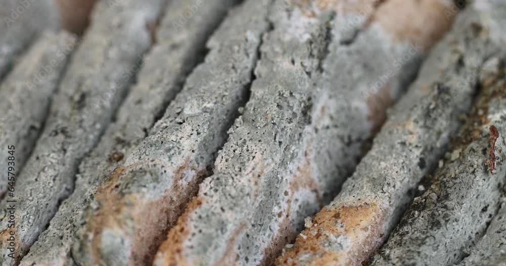 dangerous pieces of bread covered with mold on the table, a loaf of bread made of wheat and rye flour spoiled by bacteria and mold dangerous pieces of bread covered with mold on the table, a loaf of bread made of wheat and rye flour spoiled by bacteria and mold