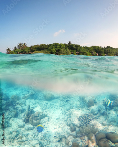 A Maldives island shot partly from under water. Exotic fish in the foreground