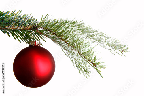 Red Christmas ball on a snowy branch