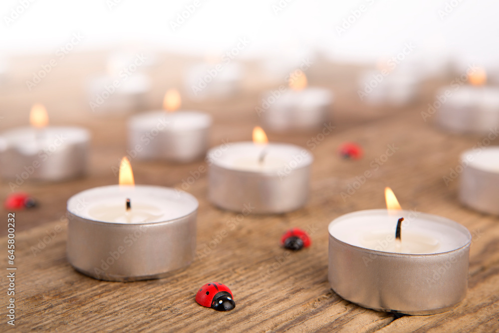 Candles with ladybugs Candles with ladybugs