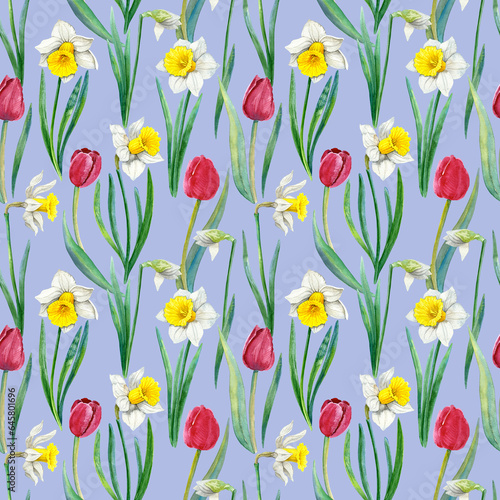 Watercolour tulips and daffodils spring flowers illustration seamless pattern. On blue background. Hand-painted. Floral elements  leaves.