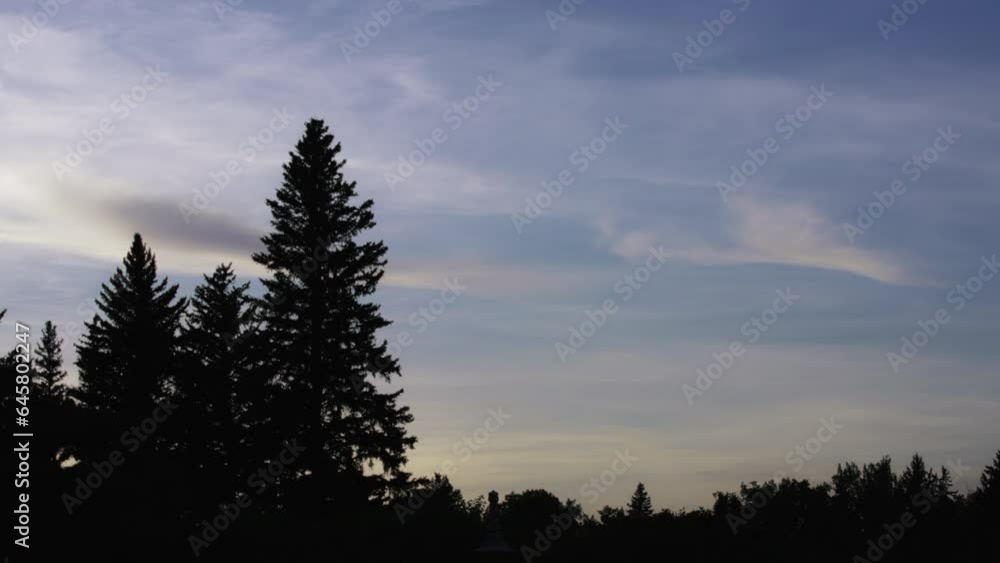 Silhouette of pine trees against the colorful sunset sky. Silhouette of pine trees against the colorful sunset sky.