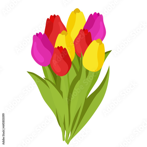 spring tulip flower art drawn bouquet