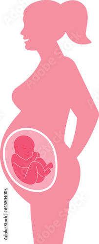 Woman silhouette with fetus in womb. Pregnancy symbol