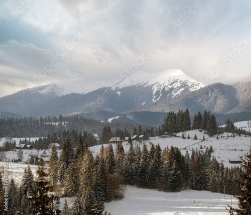 Winter remote alpine mountain village outskirts, countryside hills, groves and farmlands. © wildman