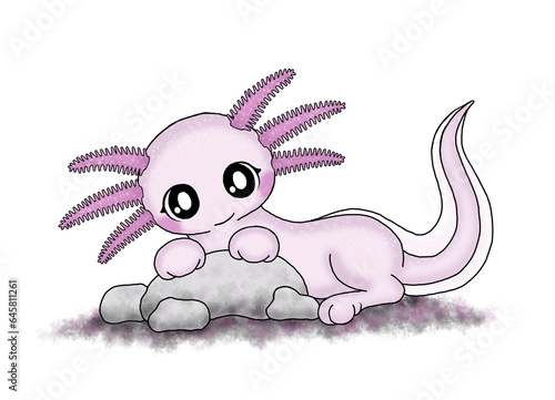 cute axolotl photo