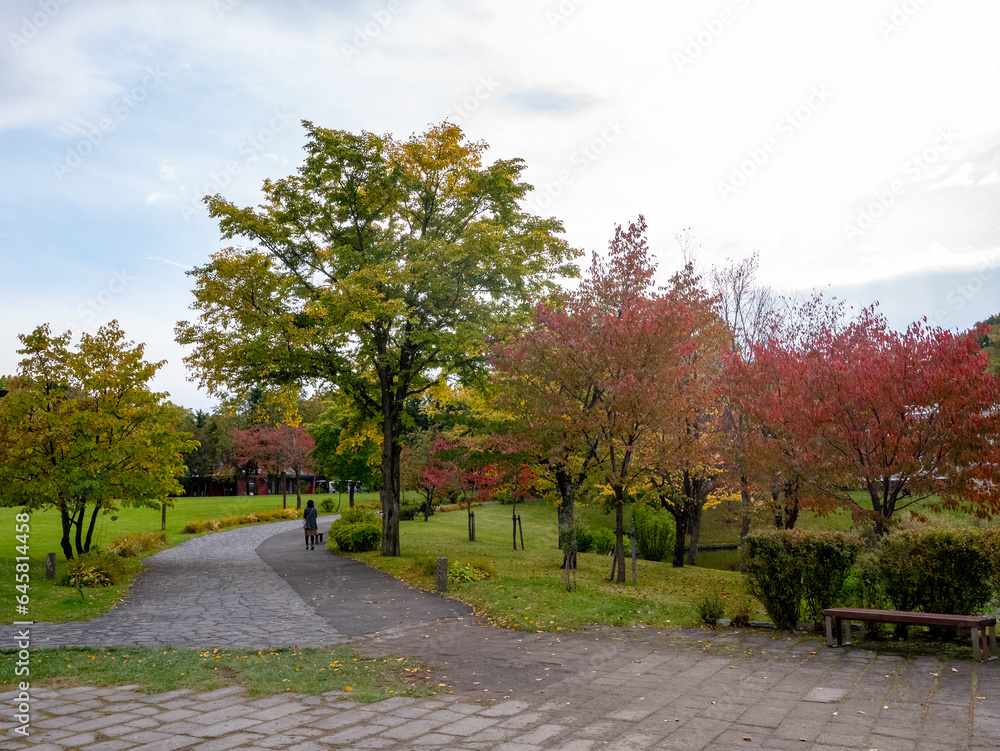 秋の芸術の森（北海道札幌市南区）
