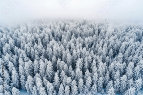 Winter's Frozen Majesty: Awe-Inspiring Aerial Vista of Pristine Snowy Forest in Serene Wonderland © aicandy
