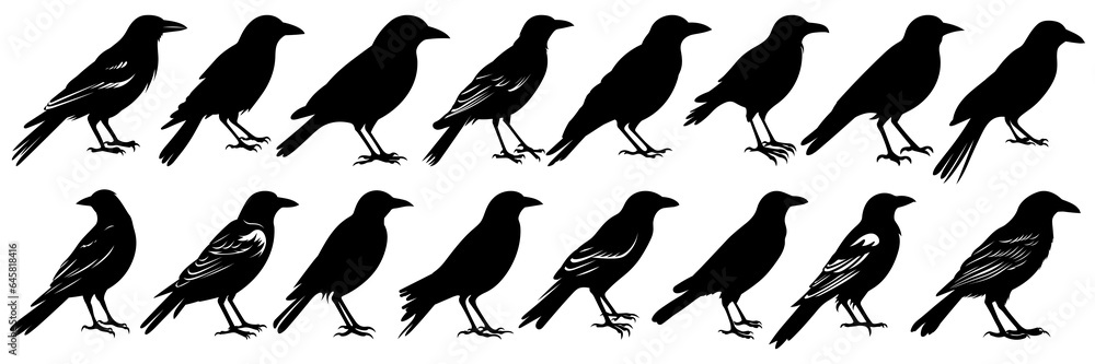 Raven crow and bird silhouettes set, large pack of vector silhouette design, isolated white background Raven crow and bird silhouettes set, large pack of vector silhouette design, isolated white background