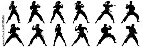 Kung fu karate taekwondo silhouettes set  large pack of vector silhouette design  isolated white background