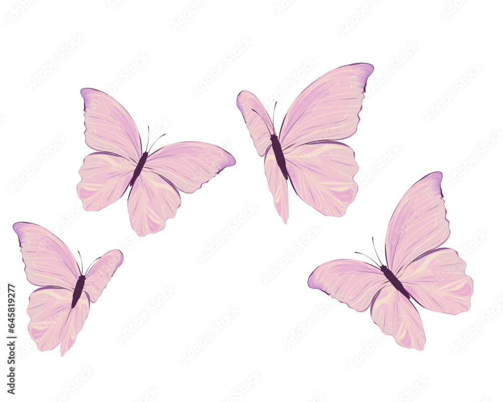 Fototapeta premium butterfly hand drawn watercolor vector