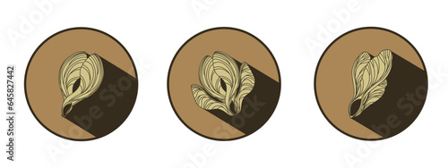 Maple seed logo with shadow. Vector images of natural elements on a brown background for eco design. Linear drawing of a maple lionfish. Autumn mood.