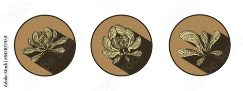 Maple seed logo with shadow. Vector images of natural elements on a brown background for eco design. Linear drawing of a maple lionfish. Autumn mood.