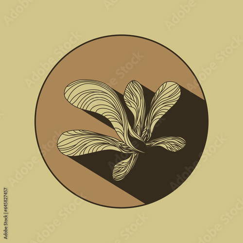 Maple seed logo with shadow. Vector images of natural elements on a brown background for eco design. Linear drawing of a maple lionfish. Autumn mood.