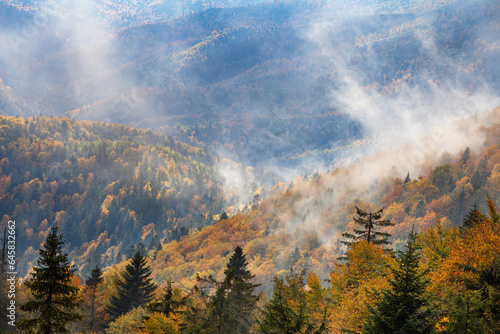 Autumn landscape - view of the mountains covered with forest under the autumn sky in the Carpathians, Ukraine