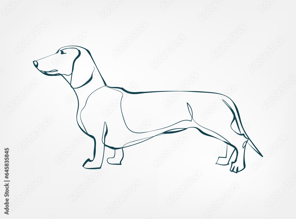 Fototapeta premium Dachshund dog breed animal vector line art one line sketch outline