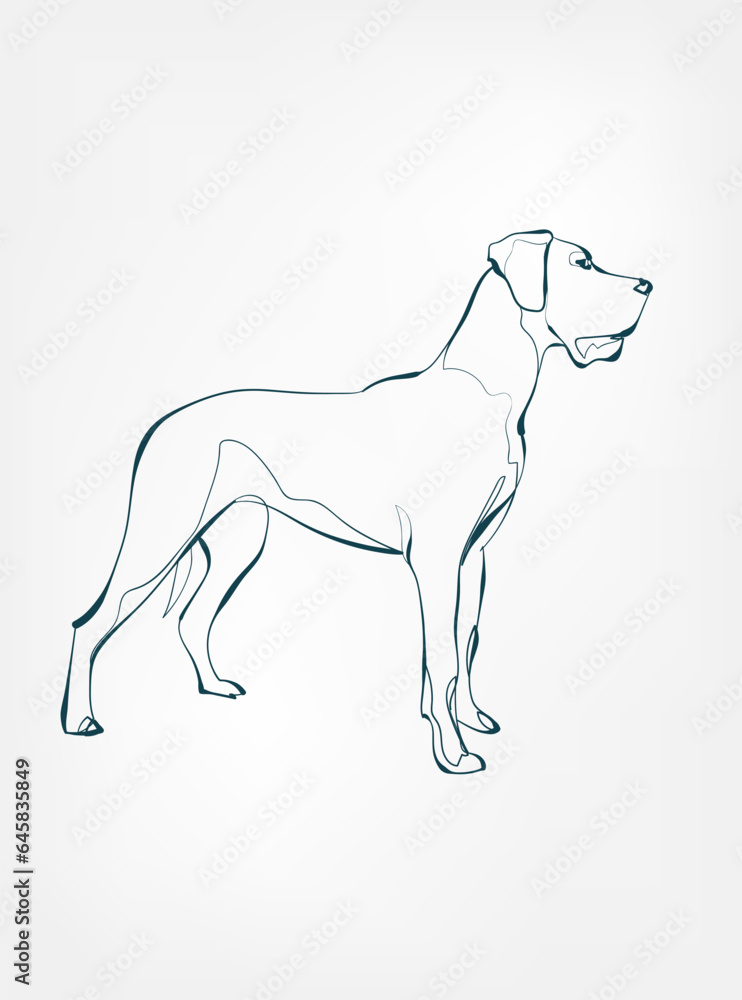 dog breed animal vector line art one line sketch outline