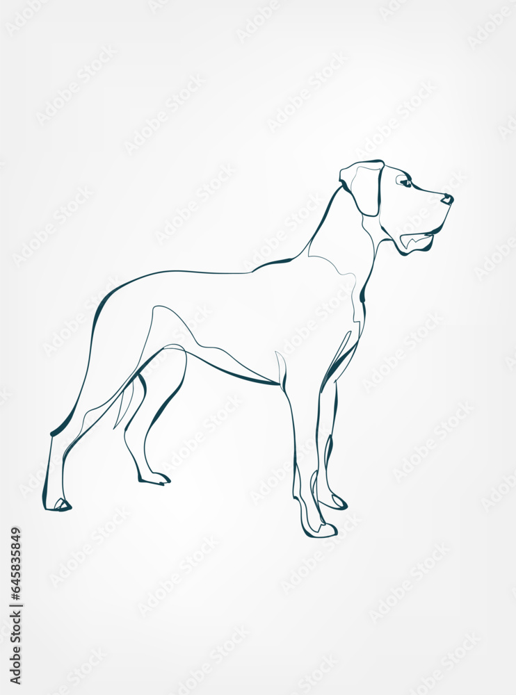 dog breed animal vector line art one line sketch outline dog breed animal vector line art one line sketch outline