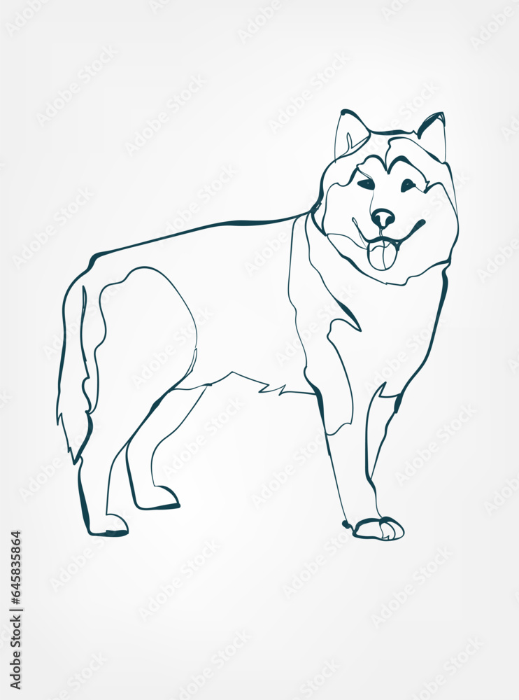 Husky dog breed animal vector line art one line sketch outline