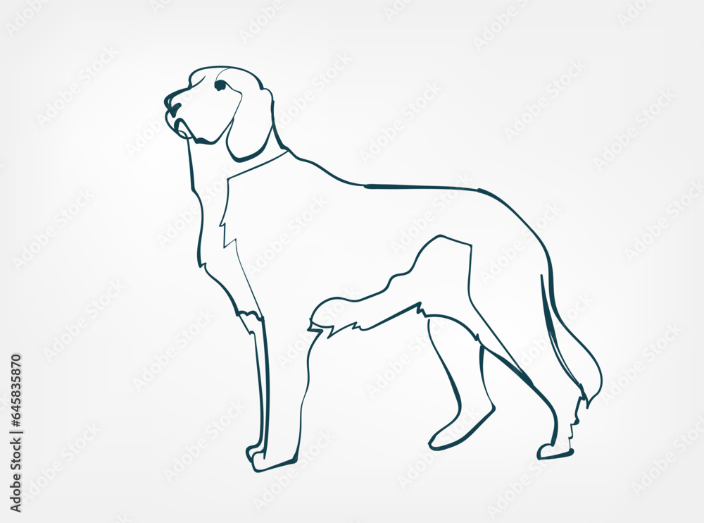 Fototapeta premium Irish Setter dog breed animal vector line art one line sketch outline