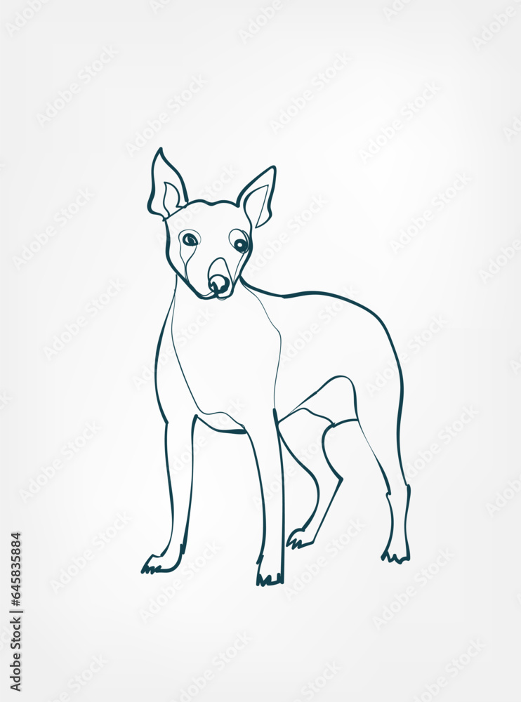 Mexican Hairless dog breed animal vector line art one line sketch outline