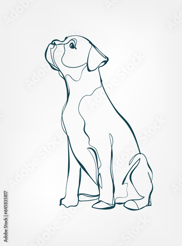 Boxer dog breed animal vector line art one line sketch outline