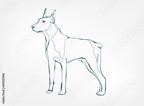 Doberman dog breed animal vector line art one line sketch outline