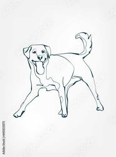 Labrador dog breed animal vector line art one line sketch outline