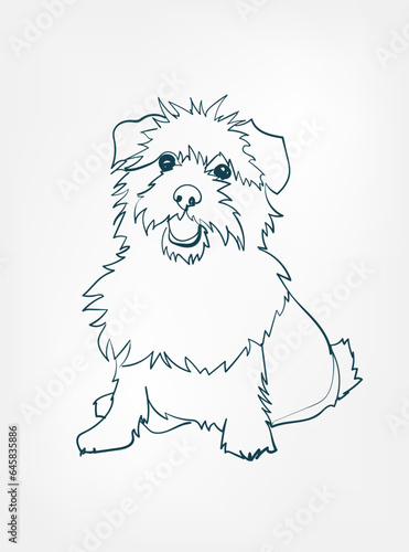 Norfolk Terrier dog breed animal vector line art one line sketch outline