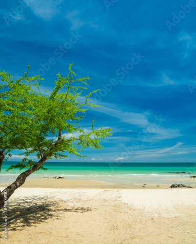 Beautiful Landscape summer vertical look front view nobody  tropical sea beach white sand clean and blue sky background calm Nature ocean wave water travel day time at Sai Kaew Beach Thailand Chonburi © Singh