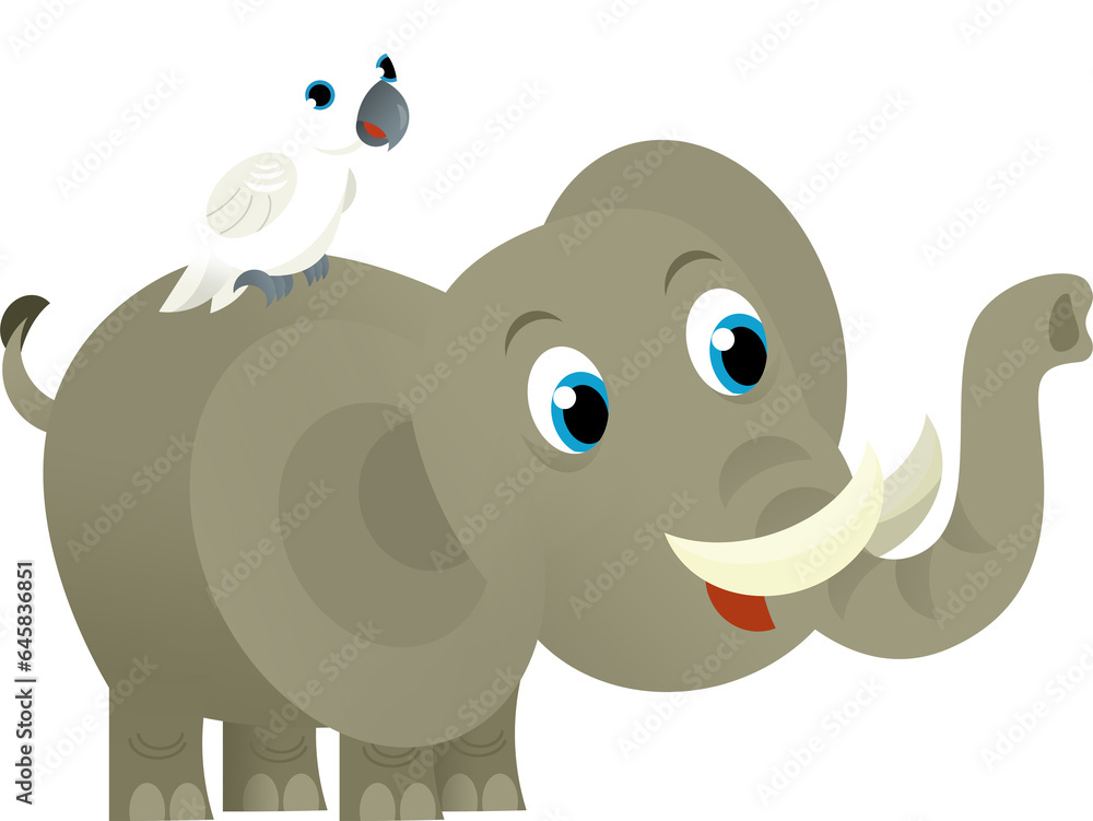 Cartoon wild animal happy young elephant and parrot on white background - illustration for the children Cartoon wild animal happy young elephant and parrot on white background - illustration for the children