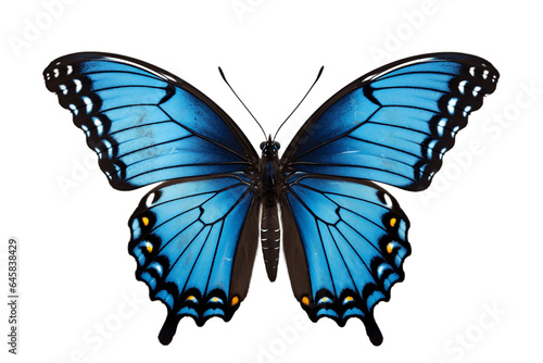 Red-Spotted Purple Butterfly Isolated on Transparent Background. Generative AI.